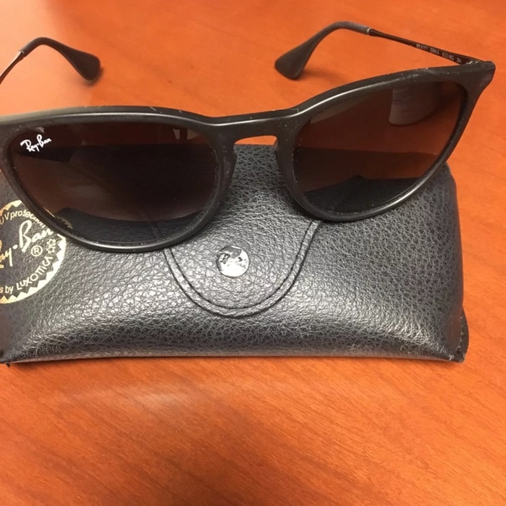 Rayban Erika Sunglasses